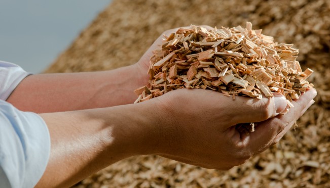 Hackschnitzel Produktion